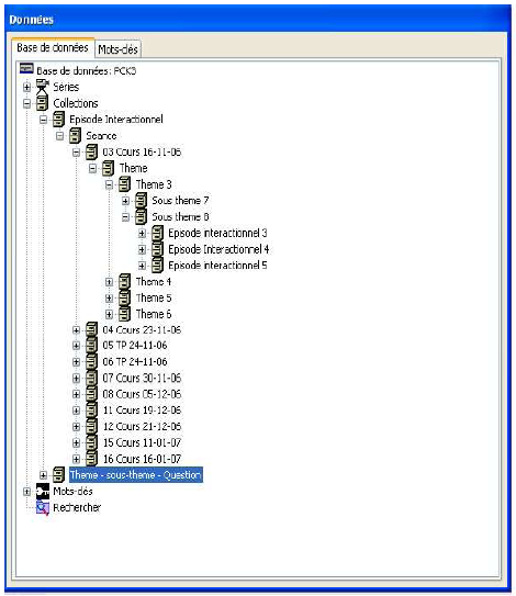 Figure 12 : Image de la base de données construite grâce aux clips correspondant aux thèmes, sous-thèmes et épisodes interactionnelles.
