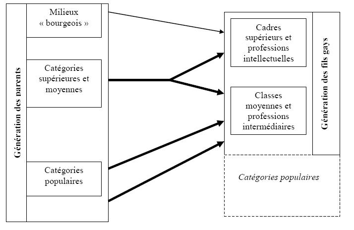 Figure 8 : Le processus de concentration socioprofessionnelle des gays.