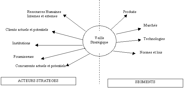 Figure n° 2 : Les acteurs stratèges et les différents segments de la veille stratégique