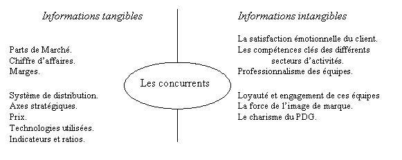 Figure n° 5 : Les informations tangibles et intangibles