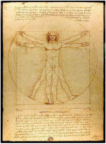 Léonard de Vinci (vers 1492), 