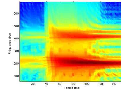 Figure 39 : Représentation spectrographique permettant de localiser la RSF.
