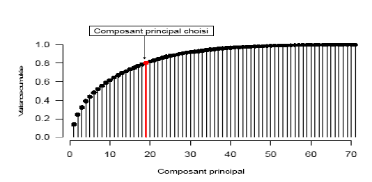 Figure 51 : Représentation du composant principal.