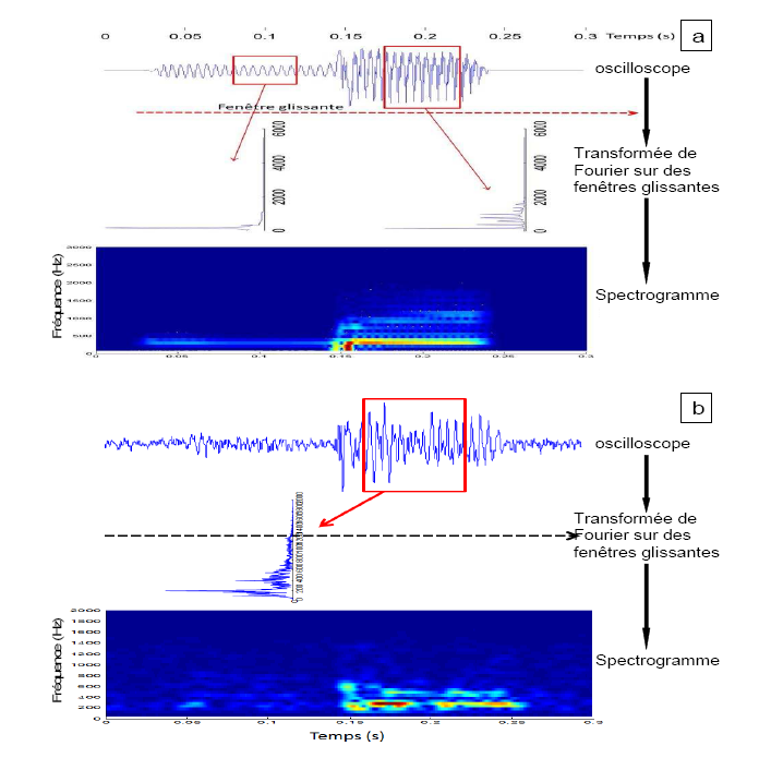 Figure 18 a et b: Représentation du traitement effectué pour l’obtention d’un spectrogramme. 