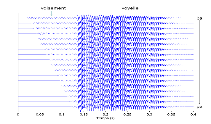 Figure 14 : Représentation temporelle des 18 signaux constitutifs du continuum langagier ba-pa. 