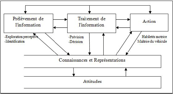 Figure 7 : Prise et traitement de l’information durant la conduite (Neboit, 1978)