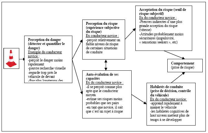 Figure 23 : Modèle des processus sous-jacents du comportement de conduite en réponse à un danger potentiel (Deery, 1999)