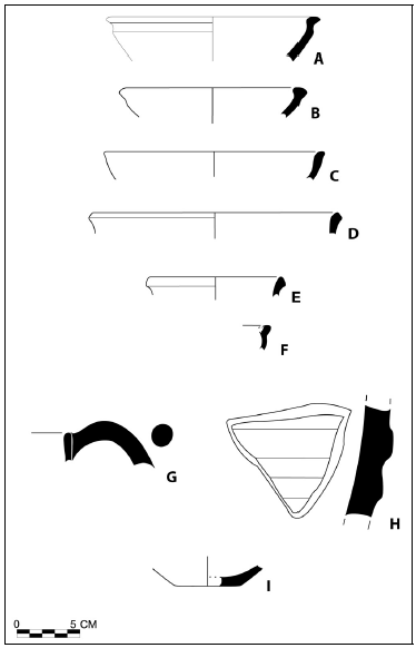 Figure 6‑31 : Dawlatabad, exemples de profils de tessons de céramique achéménide/LPW