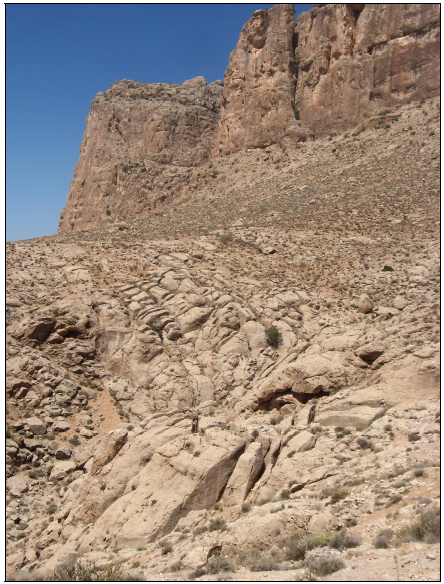 Figure 5‑88: Vue vers le nord-est d’un vallon situé à 1 km à l’est de Darrehbarreh présentant une forte concentration d’enjarrots (cliché RB, printemps 2008)