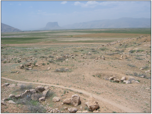 Figure 6‑38 : MD071323, vue d’ensemble vers le nord-ouest, exemples de fondations affleurantes de gros blocs de calcaire entourant des fosses ovales (cliché SG, printemps 2007)