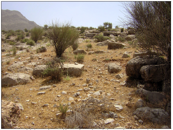 Figure 6‑14 : Madakeh, vue d’ensemble vers le nord-est de la zone des vestiges du bâtiment. Cette photographie a été prise probablement non loin de la vue d’ensemble publiée par W. Kleiss (Kleiss 1981 : Taf.11-1) mais avec un angle différent. Au loin, la dalle calcaire affleure et les blocs erratiques s’en détachant sont bien visibles (cliché SG, printemps 2005)