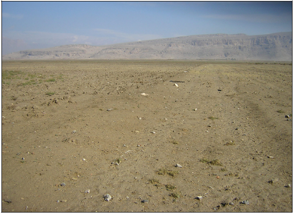 Figure 6‑36: Site KR0387-site R, vue d’ensemble vers le nord-est pris à l’ancien emplacement du tepe (cliché SG, automne 2005)