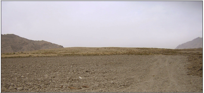 Figure 6‑23 : Tol-e Gap, vue d’ensemble du site vers l’ouest (cliché SG, automne 2005)