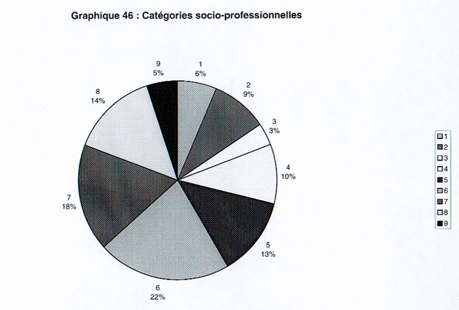 Graphique 46 Catégories socio-profesionnelles des parents des enseignants.