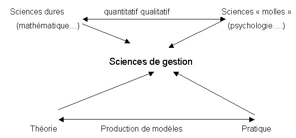 Figure 4.12. : Sciences de gestion et modèles théoriques