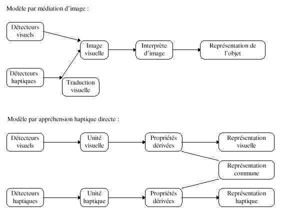 Figure 9 : Les modèles par médiation visuelle et par appréhension haptique directe ( d’après Klatzky et Lederman, 1987).