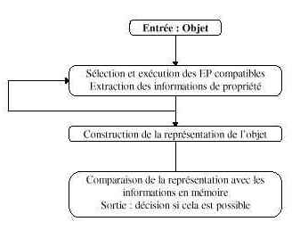 Figure 11 : Boucle de la sélection extraction des EP (procédures exploratoires) d’après Klatzky et Lederman (1993).