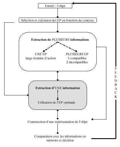 Figure 12 : Boucle d’extraction-sélection des EP (procédures exploratoires), révisée d’après Russier (2000).