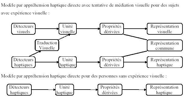 Figure 90 : Adaptation du modèle par appréhension haptique directe de Klatzky et Lederman (1987) en fonction du statut visuel des sujets.