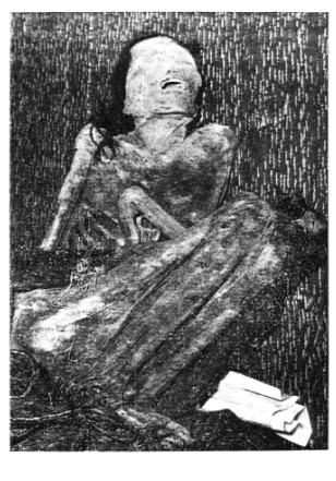 Partie 2 - fig. 20. La momie de Yécora.
