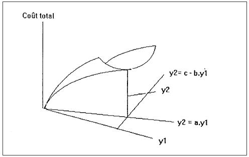 Figure 1 : fonction de coût sous-additive (Croissant, 1994)