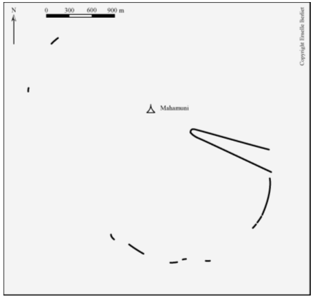Figure 90. Dinnyawadi – relevé des structures au sol (GPS)