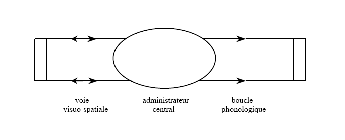 Figure 5 : Les composantes de la MDT selon Baddeley (1986, 1992)