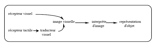 Figure 8 : Modèle par médiation d'images (d'après Klatzky & Lederman, 1987).