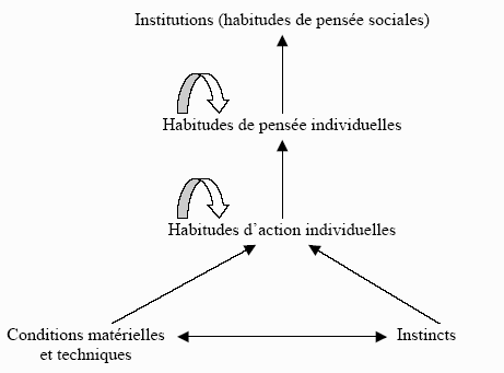 Schéma 3 : Processus veblenien de formation des institutions avec transmission des habitudes