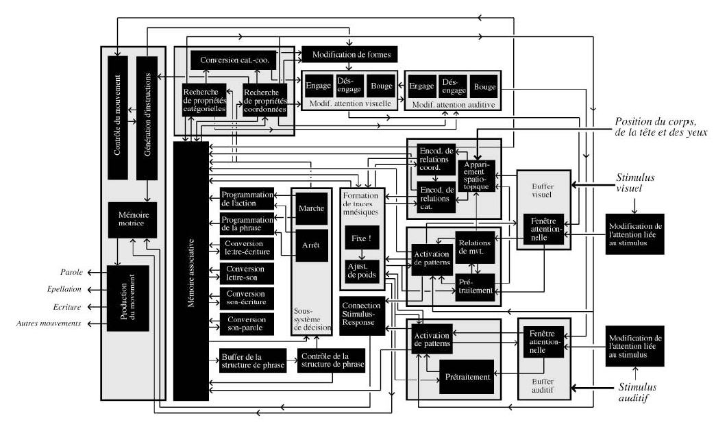 Figure 1 : Modèle de l’architecture fonctionnelle de la vision de haut niveau de Kosslyn et Koening (1992) (notre traduction).