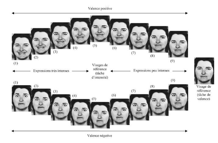 Figure 10 : Représentation du continuum d’expressions faciales utilisées dans les expériences 2 et 3. Les 8 expressions supérieures sont des expressions positives de joie, les hiot expressions inférieures sont des expressions négatives de peur. Les 8 expressions de gauche sont considérées comme très intenses, les 8 expressions de droite sont considérées comme peu intenses. Les visages (5)et le visage neutre constituaient des visages de référence utilisés dans les tâches d’intensité et de valence respectivement. 