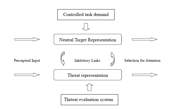 Figure 7. Modèle de Mathews et Mackintosh (1998)