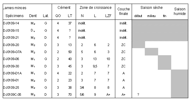 Tabl. 6.10 : Résultats de l’analyse cémentochronologique de quelques dents de gazelles de Dja’de el Mughara. QO = qualité optique (de 2, médiocre, à 4, bonne) ; LT = largeur totale du cément (en µm) ; N = nombre de zones de croissance ; L = largeur moyenne d’une zone de croissance complète (en µm) ; LZF = largeur de la dernière zone de croissance (en µm) ; A = annulus ; ZC = zone de croissance.