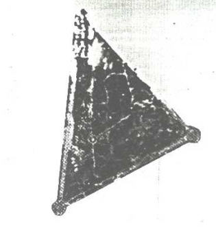 Figure 82. Photo aérienne et plan du Bois des Pins.  