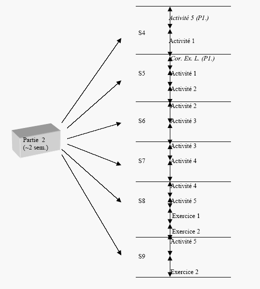 Figure 7 : La structuration jusqu’au niveau activité au sein d’une partie (partie 2)