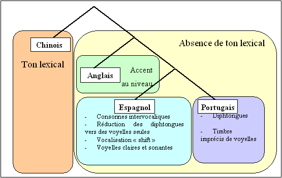 Figure 3.3 Illustration de l’identification de quatre langues d’après Leavers et Burley (2001).