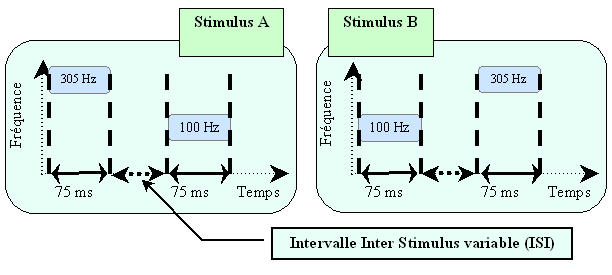 Figure 6.3 Illustration des deux types de stimuli  