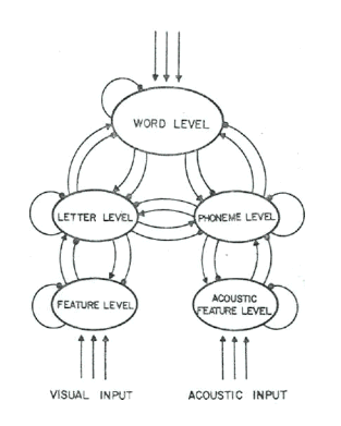 Figure 7 : Modèle d’activation interactive issu de Rumelhart & McClelland (1982).