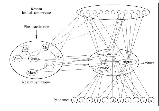 Figure 4 : Modèle en Réseau Indépendant issu Caramazza (1997).