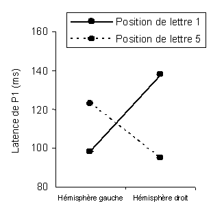 Figure 4.13 : Latences moyennes de P1 dans les deux hémisphères cérébraux, pour les positions de lettres 1 et 5. Le graphique illustre la forte interaction existant entre les deux facteurs de position et d’hémisphère.