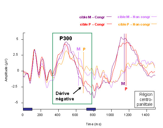 Figure 5.6 : PE mesurés dans la région centro-pariétale (dérivation linéaire des électrodes C1, CP1, Cz, CPz, C2, CP2), pour les deux conditions de congruence et les deux catégories cible. Les temps d’exposition des deux items successifs d’une paire sont matérialisés par des rectangles bleus. La région d’intérêt est indiquée par un encadrement vert. Les temps de réaction sont indiqués par des barres verticales sur les tracés, les couleurs des barres faisant référence à la légende. 