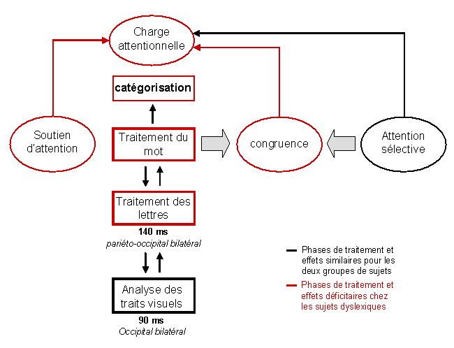 Figure 6.15 : Schéma de synthèse des effets "Top-down" influençant la décision lexicale, chez des sujets adultes normo-lecteurs ou dyslexiques. 