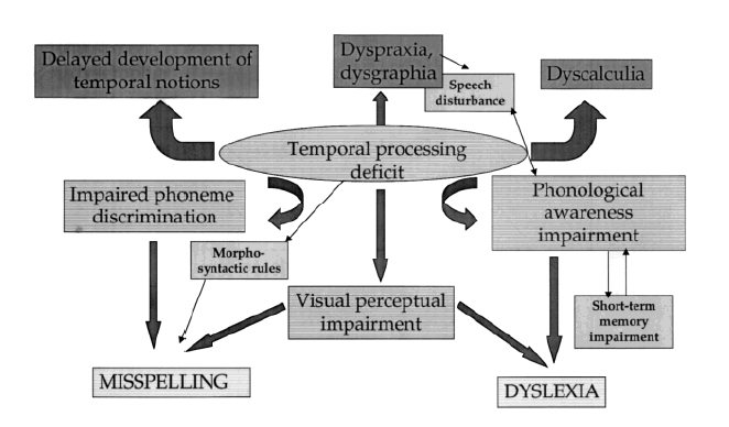 Figure 1.10 : Hypothèse sur les mécanismes de la dyslexie et des troubles développementaux associés (d’après (Habib, 2000)).