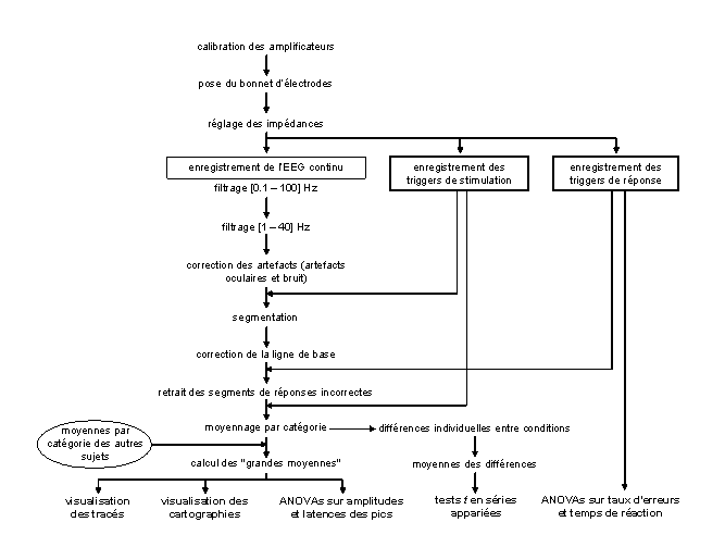 Figure 3.5 : Schéma de synthèse de la technique des Potentiels Evoqués. Procédures d’enregistrement et d’analyses.