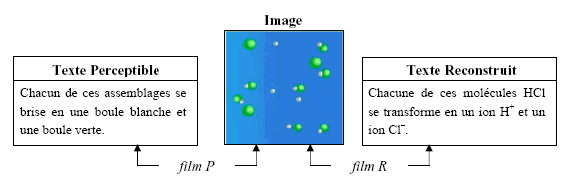 Figure 2.6 – Film Dissociation – animation microscopique (versions P et R)
