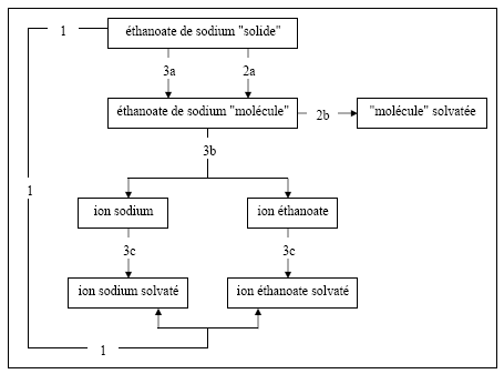 Figure 6.4 – Fonctionnement des élèves concernant le solide ionique