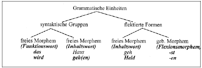 Figure 4 : les morphèmes grammaticaux (Pörings et Schmitz, 1999 : 54)