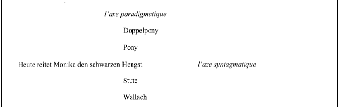 Figure 7 : l’opposition entre l’axe syntagmatique et l’axe paradigmatique