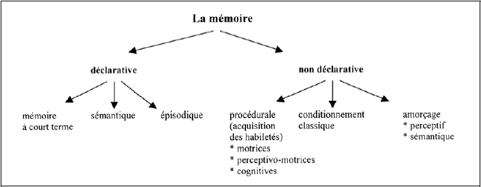 Figure 5 : modélisation des fonctions de la mémoire humaine, d'après Eustache (1996 : 130) 