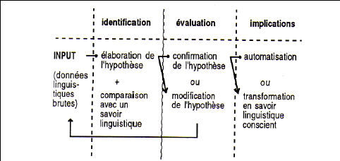 Figure 3 : vérification des hypothèses à partir de l'input (Vogel, 1995 : 113)